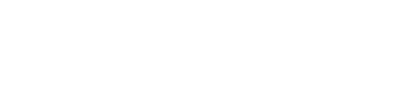 HippoHub Logo White H